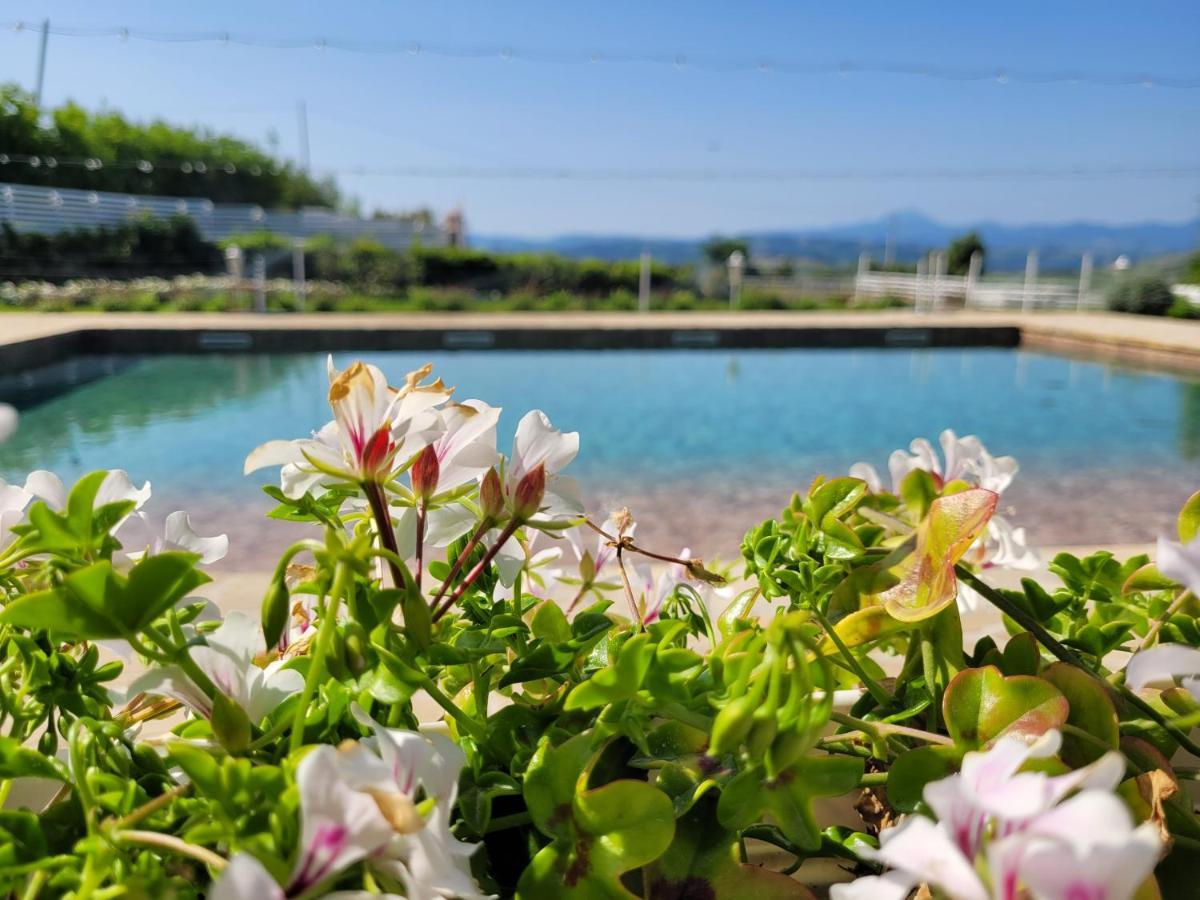 La Collina Dei Cavalieri Villa Belvedere Ostrense Exterior foto